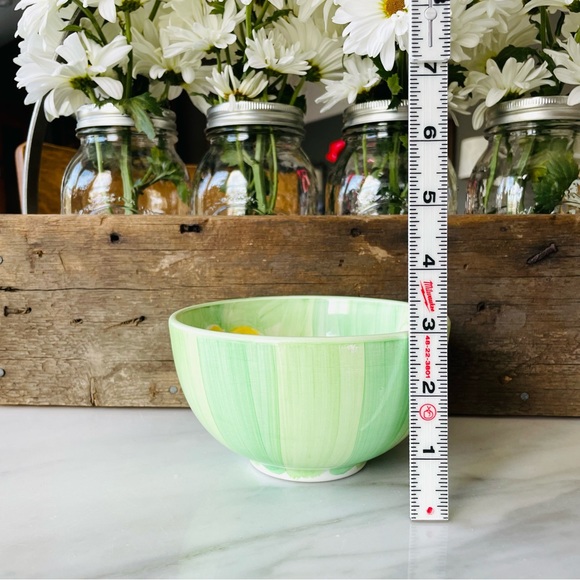 Bob Mackie•(4) Ceramic Soup/Cereal Bowls•HAND-PAINTED•Green Stripes and Flowers - Picture 11 of 14